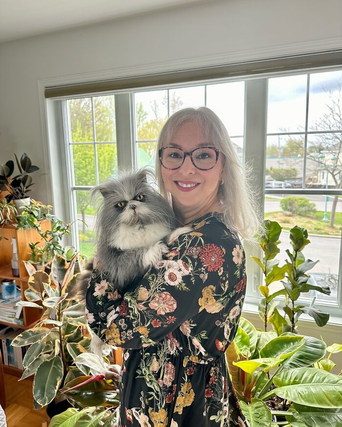 Fluffiest Of Them All: This Werewolf Cat Is Winning Hearts Worldwide Fluffiest Of Them All: This Werewolf Cat Is Winning Hearts Worldwide
