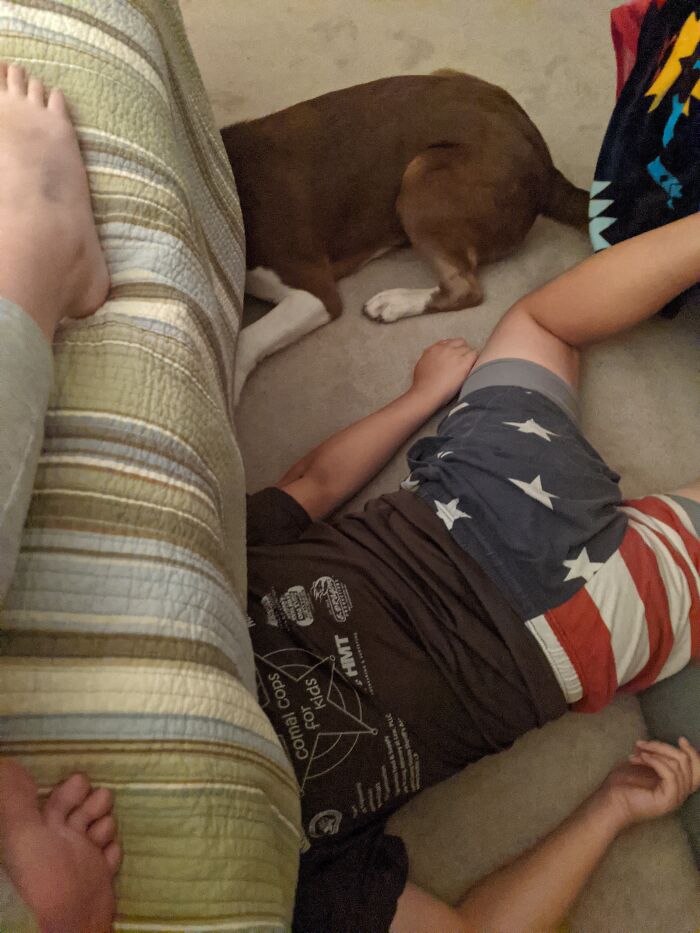 Ignore The "Other Dogs" That Are Out Lol But My Idiot Dog And Little Brother Decided To Just Lay Like That For Awhile