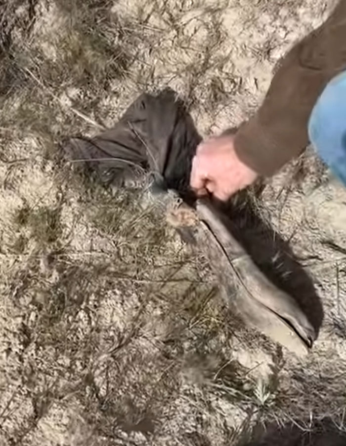 Man Warned To “Be Careful” After He Starts Investigating Women’s Shoes Found In Colorado Desert Man Warned To “Be Careful” After He Starts Investigating Women’s Shoes Found In Colorado Desert