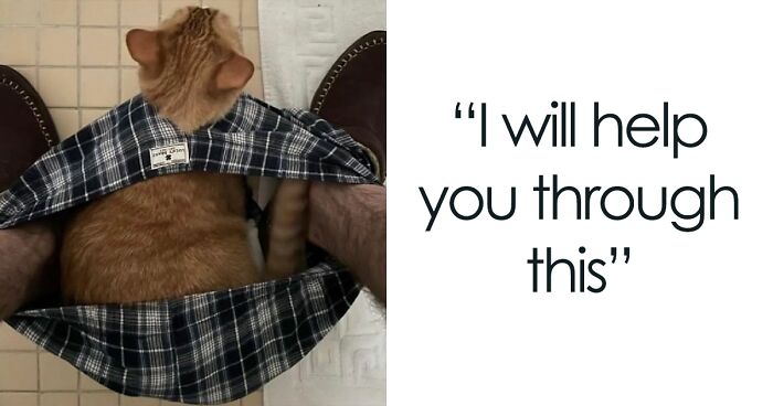 81 Pics Of Goofy Animals That Might Be The Best Remedy When You’re Feeling Down