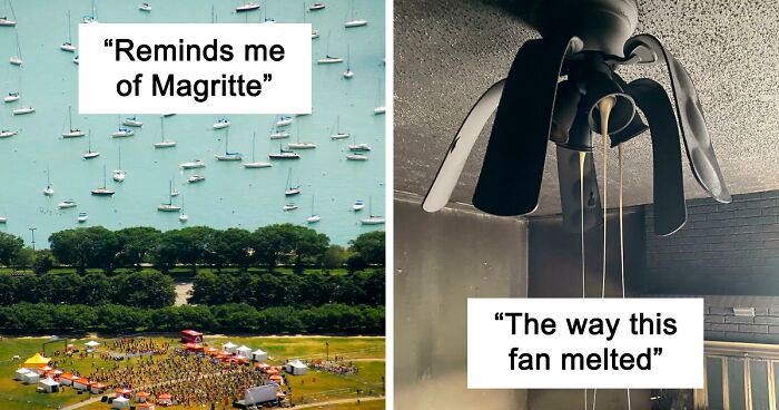 110 Times People Snapped A Pic And Realized It Was An Accidental Masterpiece