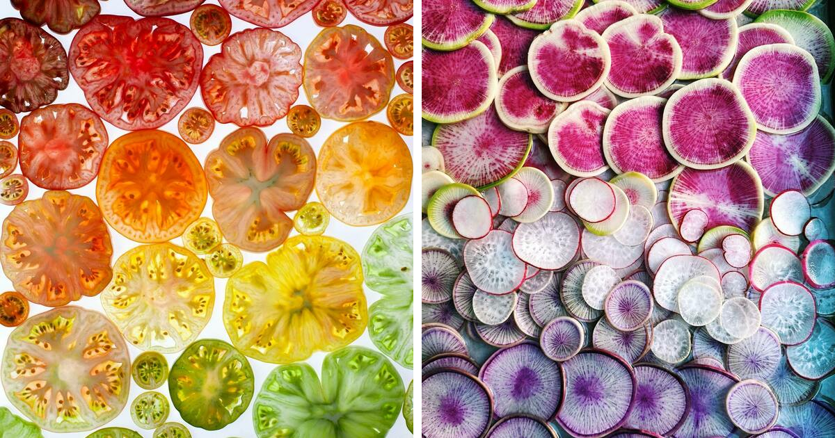 70 Captivating Gradient Photos Of Ordinary Items By Brittany Wright - Vimarsana News