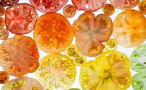 70 Captivating Gradient Photos Of Ordinary Items By Brittany Wright