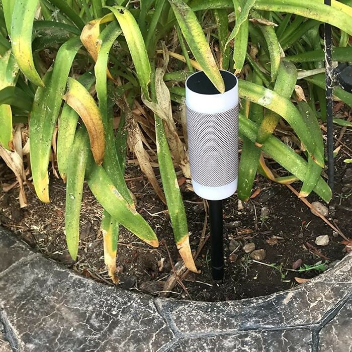 A Weatherproof Light Up Bluetooth Tiki Speaker Will Get The Ambience Just Right