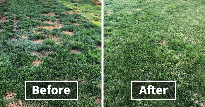 These 44 Fabulous Finds Will Make You Want To Live In Your Backyard This Summer