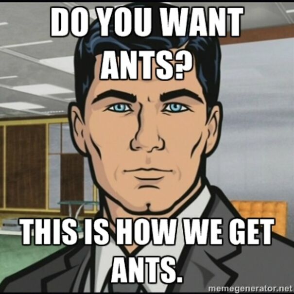 archer_do_you_want_ants-664e42397ce40.jpg