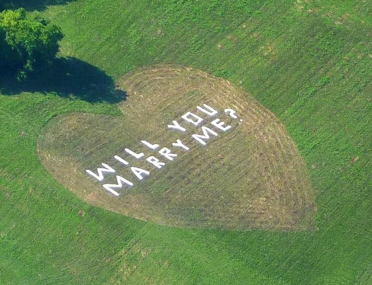 Girlfriend Can’t Hold Her Tears Back After Farmer Carves “Marry Me” Into His Field At Golden Hour Girlfriend Can’t Hold Her Tears Back After Farmer Carves “Marry Me” Into His Field At Golden Hour