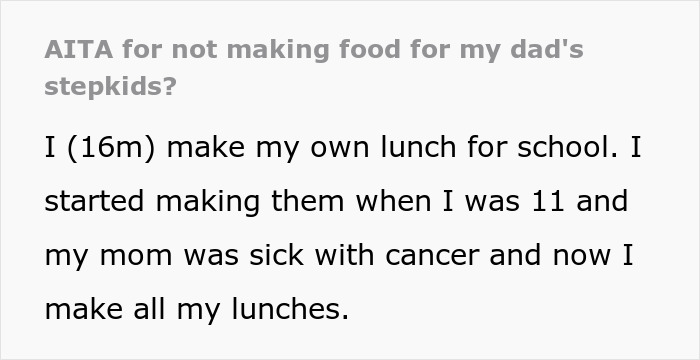 16YO Tells Stepmom It’s Not His Job To Feed Her Kids, She Blows Up At Him 16YO Tells Stepmom It’s Not His Job To Feed Her Kids, She Blows Up At Him