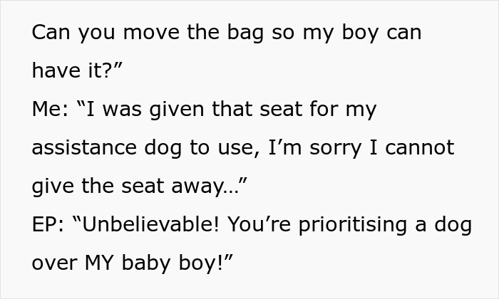 Parent Wants Service Dog Moved For "Baby Boy's" Window Seat, Gets A Reality Check