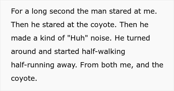 Woman Left Confused After Entitled Man Yells At Her To Put A Leash On Coyote Woman Left Confused After Entitled Man Yells At Her To Put A Leash On Coyote