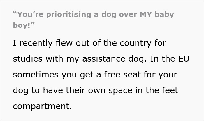 Parent Wants Service Dog Moved For "Baby Boy's" Window Seat, Gets A Reality Check