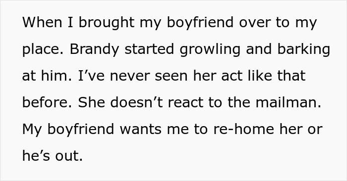 “Re-Home Her Or He’s Out”: Entitled BF Makes Demands About Woman’s Dog, Regrets It “Re-Home Her Or He’s Out”: Entitled BF Makes Demands About Woman’s Dog, Regrets It