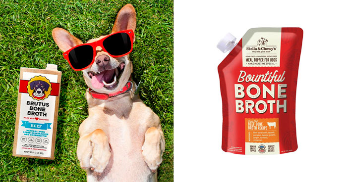 Best Bone Broth For Dogs, According To Vet
