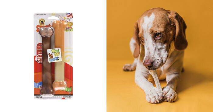 The Best Bones For Dogs, According To Vet