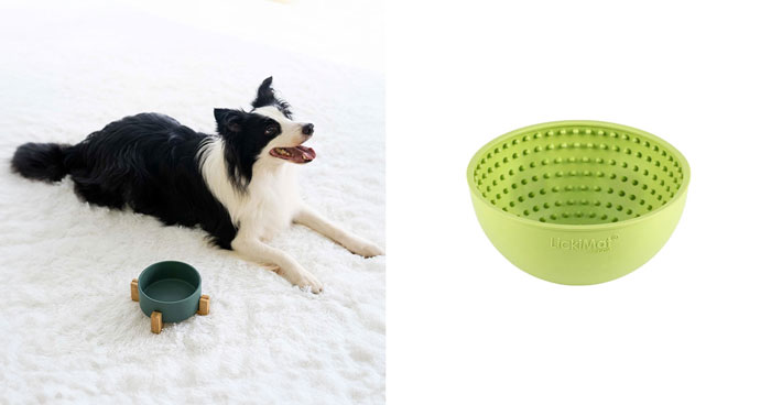 The 12 Best Dog Bowls In 2024