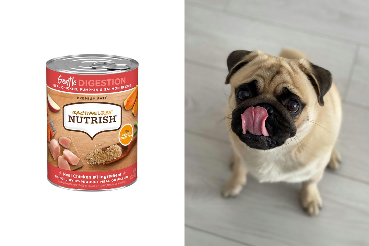 Best Dog Foods For Gassy Dogs, According To Experts Bored Panda