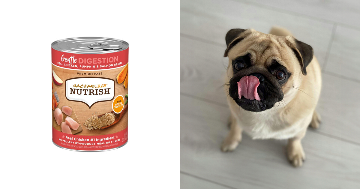 Best Dog Foods For Gassy Dogs, According To Experts Bored Panda