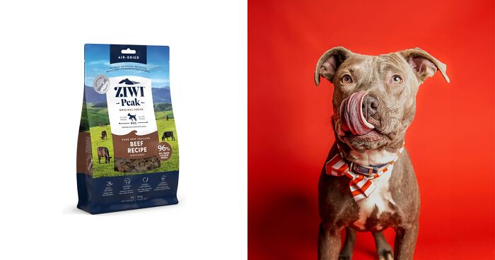 Best Dog Food For Pit Bulls With Skin Allergies