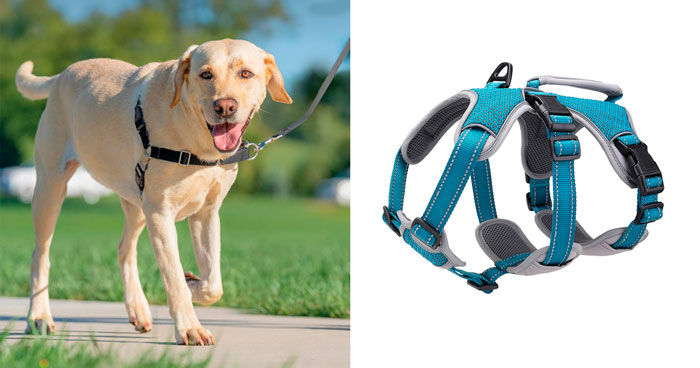 Best Dog Harness For Large Dogs: Vet Recommendations