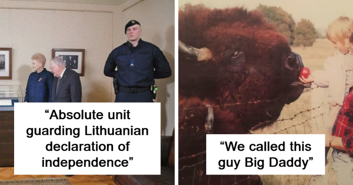 80 Times Something’s Sheer Size Got Them The Title Of ‘Absolute Unit’ (Best Of All Time)