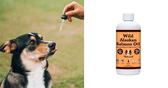 Best Salmon Oil For Dogs, According To Vet