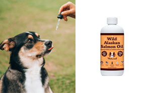 Best Salmon Oil For Dogs, According To Vet