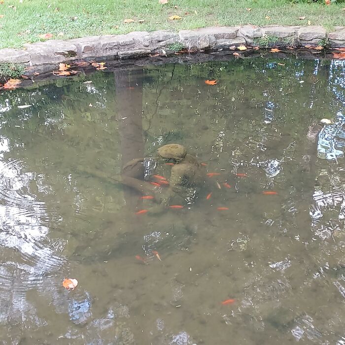 Statue Of A Child At The Bottom Of This Pond