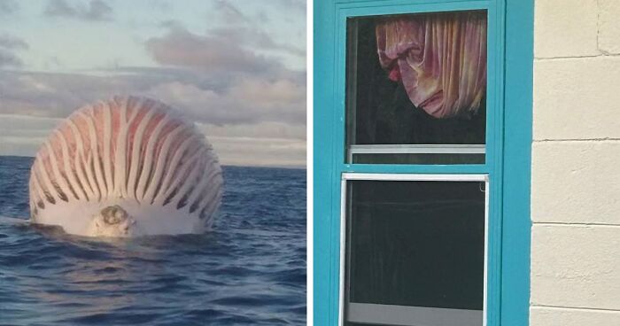 77 “Oddly Terrifying” Posts That Are Not For The Fainthearted (New Pics)