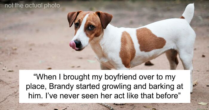 Woman Promotes Her Dog To A ‘Jerk Detector’ After She Helps Her See Boyfriend’s True Colors