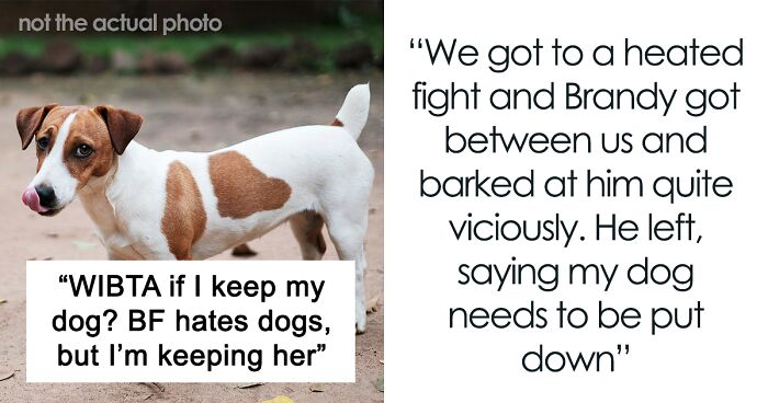 “Re-Home Her Or He’s Out”: Entitled BF Makes Demands About Woman’s Dog, Regrets It