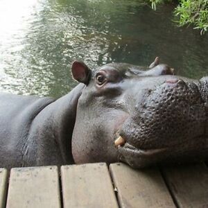 tracytaylor500269 avatar