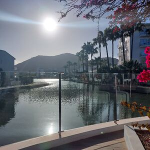 midnightkitt1 avatar