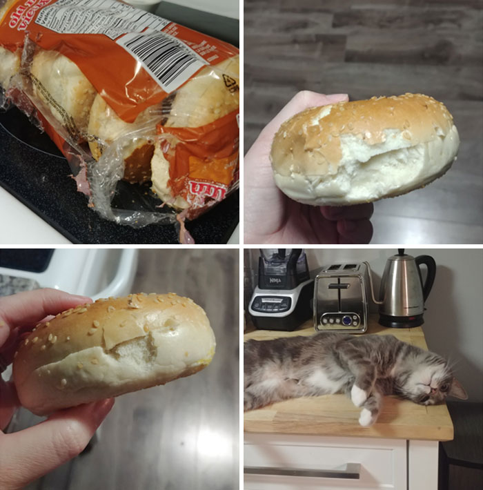The Cat Was Mad We Weren't Home To Feed Her Dinner, And Got Back At Us By Ripping Apart A Pack Of Bagels And Taking A Tiny Bite Out Of Each One