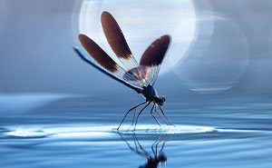 13 Captivating Entries From The 2023 Water Challenge By Close-Up Photographer Of The Year