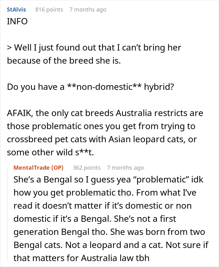 Woman Refuses To Leave Behind Her Cat To Travel Australia For A Year, Gets Dumped Woman Refuses To Leave Behind Her Cat To Travel Australia For A Year, Gets Dumped