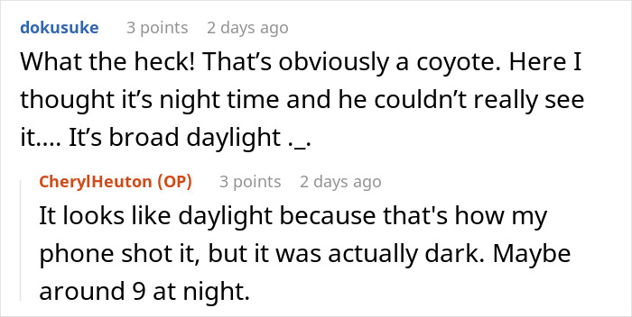 Woman Left Confused After Entitled Man Yells At Her To Put A Leash On Coyote Woman Left Confused After Entitled Man Yells At Her To Put A Leash On Coyote