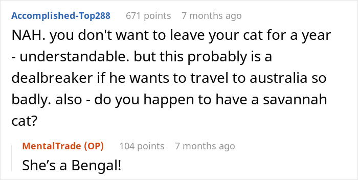 Woman Refuses To Leave Behind Her Cat To Travel Australia For A Year, Gets Dumped Woman Refuses To Leave Behind Her Cat To Travel Australia For A Year, Gets Dumped