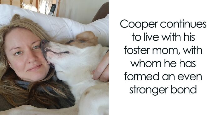 Foster Mom Spreads Awareness And Joy By Sharing Her Short-Spined Dog’s Adventures