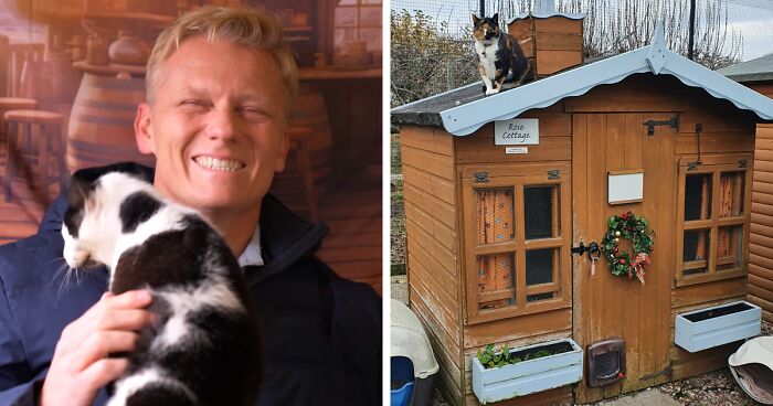 This Retirement Cat Village Has 17 Cats That Live Out Their Days In Mini Cottages