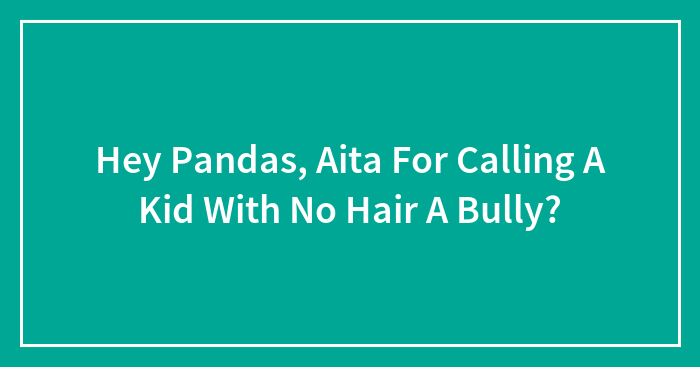 Hey Pandas, Aita For Calling A Kid With No Hair A Bully?
