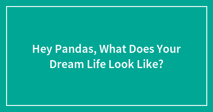 Hey Pandas, What Does Your Dream Life Look Like?