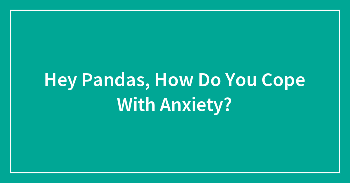 Hey Pandas, How Do You Cope With Anxiety? (Closed)