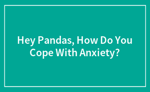 Hey Pandas, How Do You Cope With Anxiety?