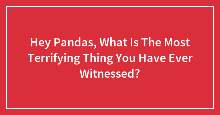 Hey Pandas, What Is The Most Terrifying Thing You Have Ever Witnessed? (Closed)