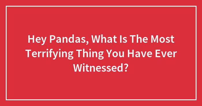 Hey Pandas, What Is The Most Terrifying Thing You Have Ever Witnessed?
