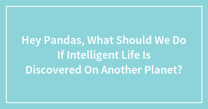 Hey Pandas, What Should We Do If Intelligent Life Is Discovered On Another Planet?
