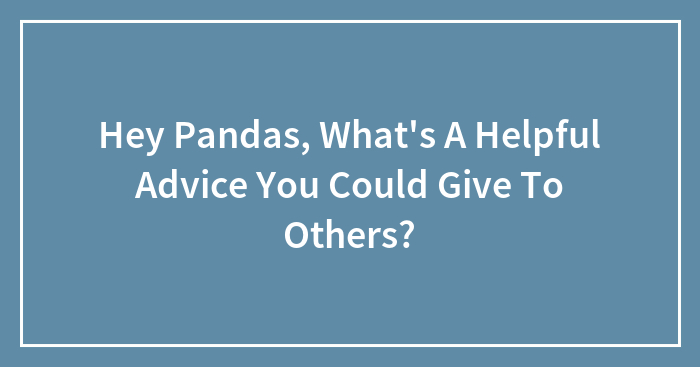 Hey Pandas, What’s A Helpful Advice You Could Give To Others?