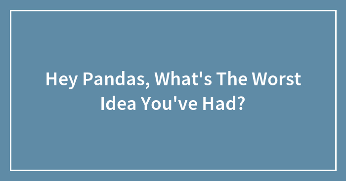 Hey Pandas, What’s The Worst Idea You’ve Had?