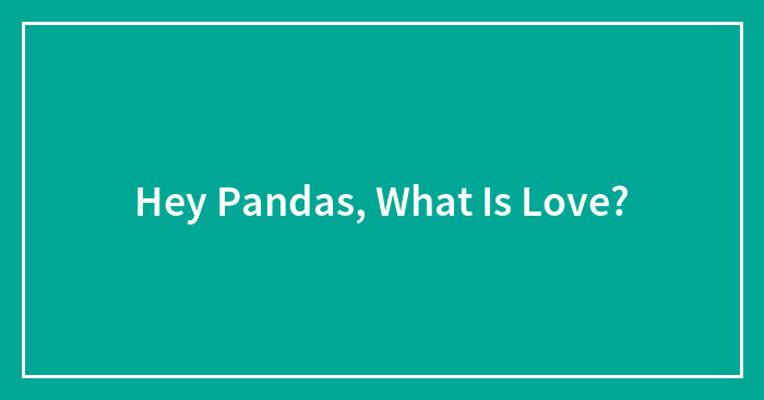 Hey Pandas, What Is Love? (Closed)