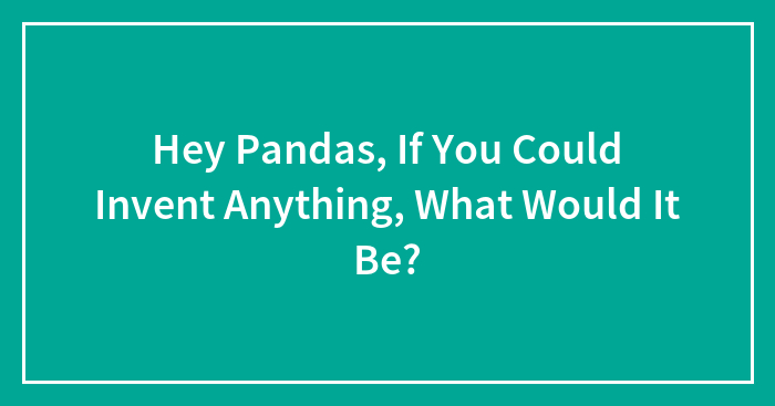 Hey Pandas, If You Could Invent Anything, What Would It Be?